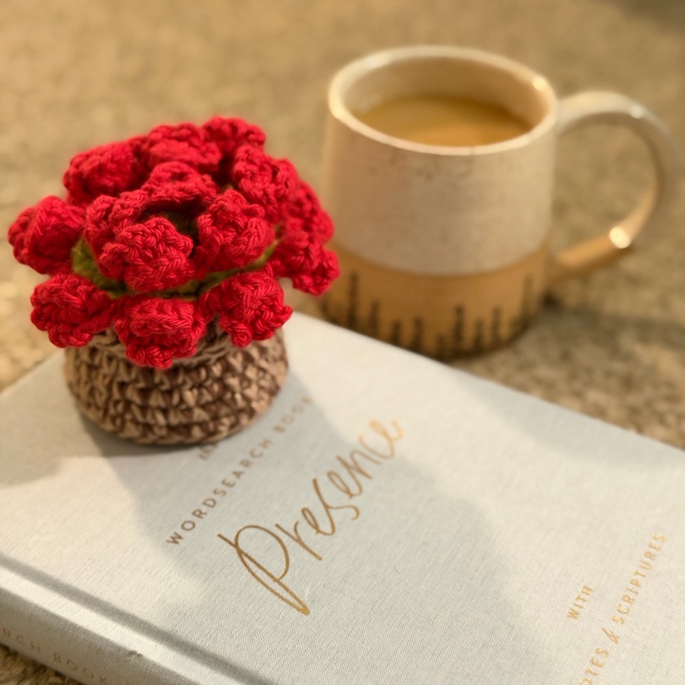 Handcrafted Red Crochet Flower Pot